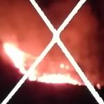 Incêndio atinge parque ecológico no bairro Palmares, em Belo Horizonte