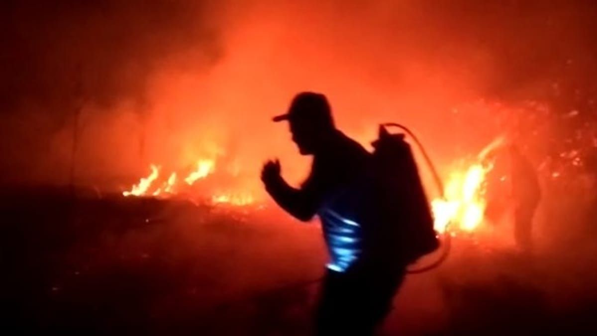 Fogo em MG: bombeiros combatem incêndio em 11 unidades de conservação  nesta quinta (5)