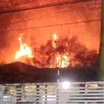 Vídeo: incêndio de grandes proporções consome mata em Contagem e asilo é evacuado