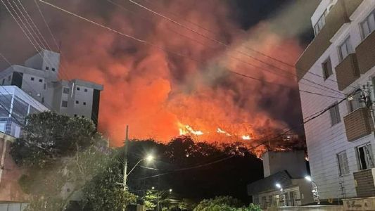Incêndio de grandes proporções atingiu o Parque Ecológico Renato Azeredo, no Palmares, nessa sexta-feira