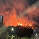 Incêndio destruiu quase metade da área de parque ecológico no Palmares, em BH