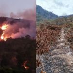 Produtores rurais do interior de Minas perdem plantação em incêndio: 'todo mundo meio perdido'
