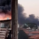 Vídeo: incêndio de grandes proporções consome lote na Pampulha, em BH