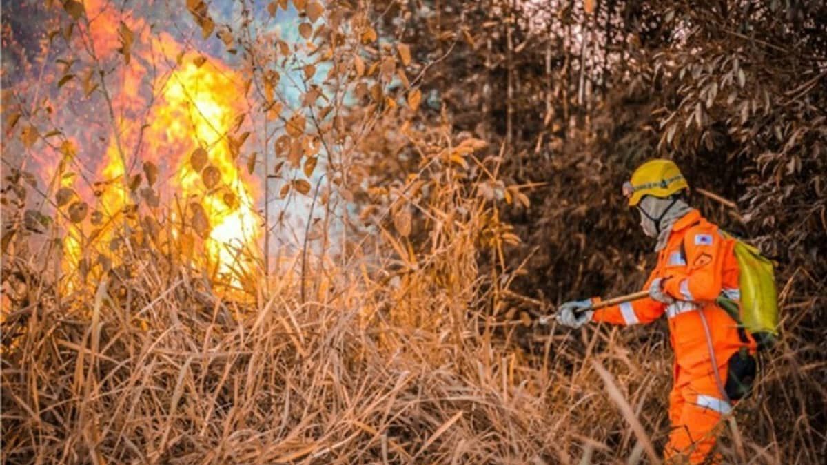 Corpo de Bombeiros de Minas investe em prevenção para reduzir incêndios na época de seca