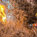 Corpo de Bombeiros de Minas investe em prevenção para reduzir incêndios na época de seca
