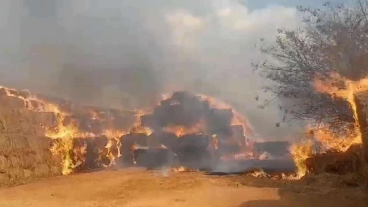 Vídeo: incêndio consome depósito com 20 toneladas de feno no interior de MG