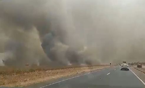 Incêndios florestais: autoridades combatem queimadas e prendem suspeitos em GO | CNN Brasil