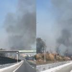 Vídeo: incêndio às margens da MG-10 assusta motoristas neste sábado (14)