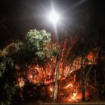 Incêndio atinge mata próxima ao Mineirinho antes do duelo entre Atlético e Fluminense