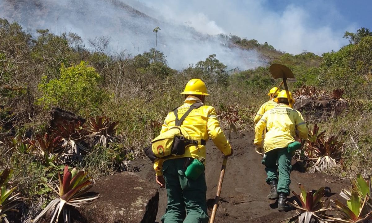 Equipes combatem incêndio no Parque Estadual da Serra do Brigadeiro em MG