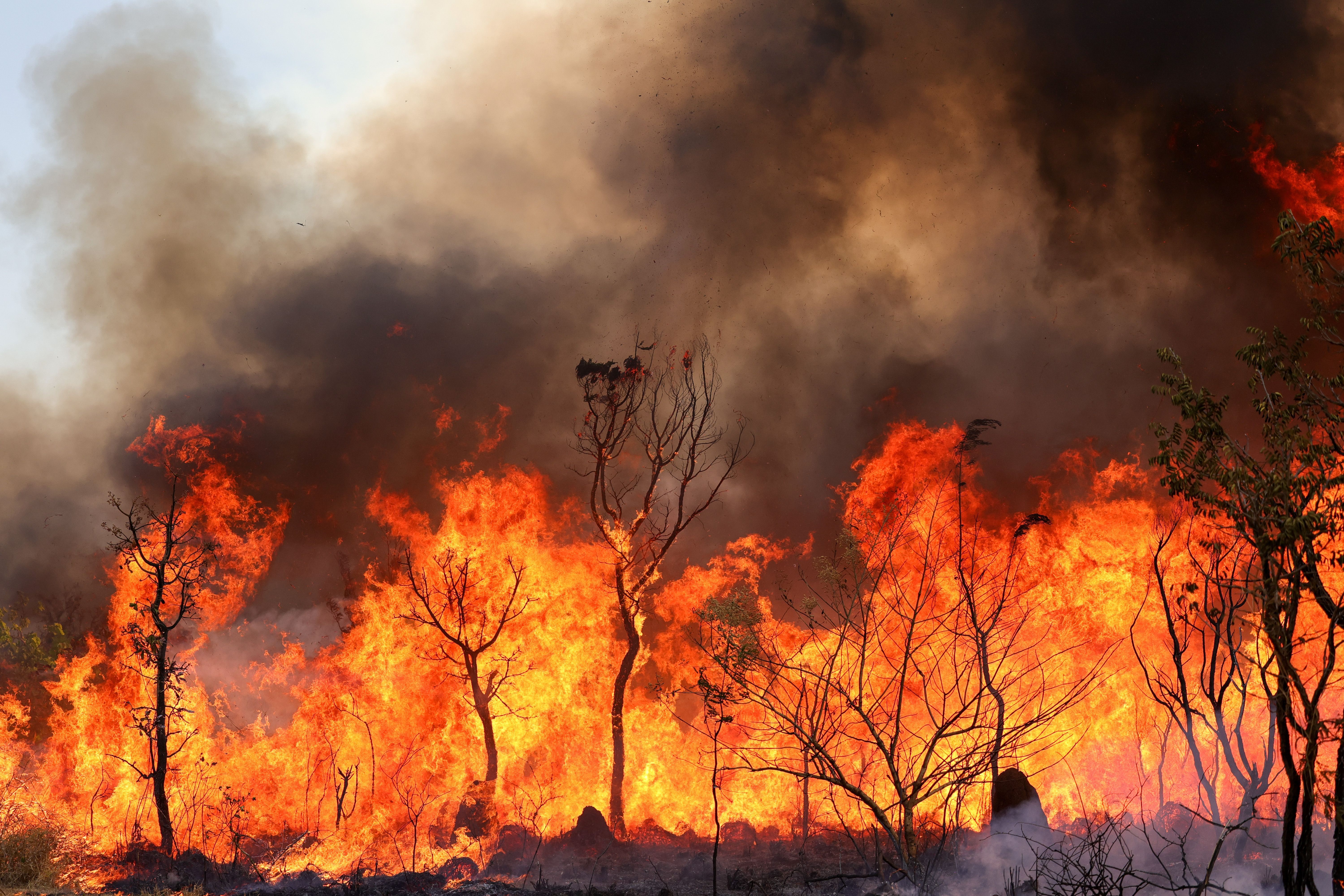 Governador do DF suspende férias de bombeiros para reforçar combate a queimadas
