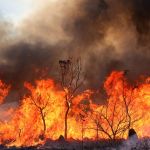 PF abre inquérito para apurar incêndio no Parque Nacional de Brasília