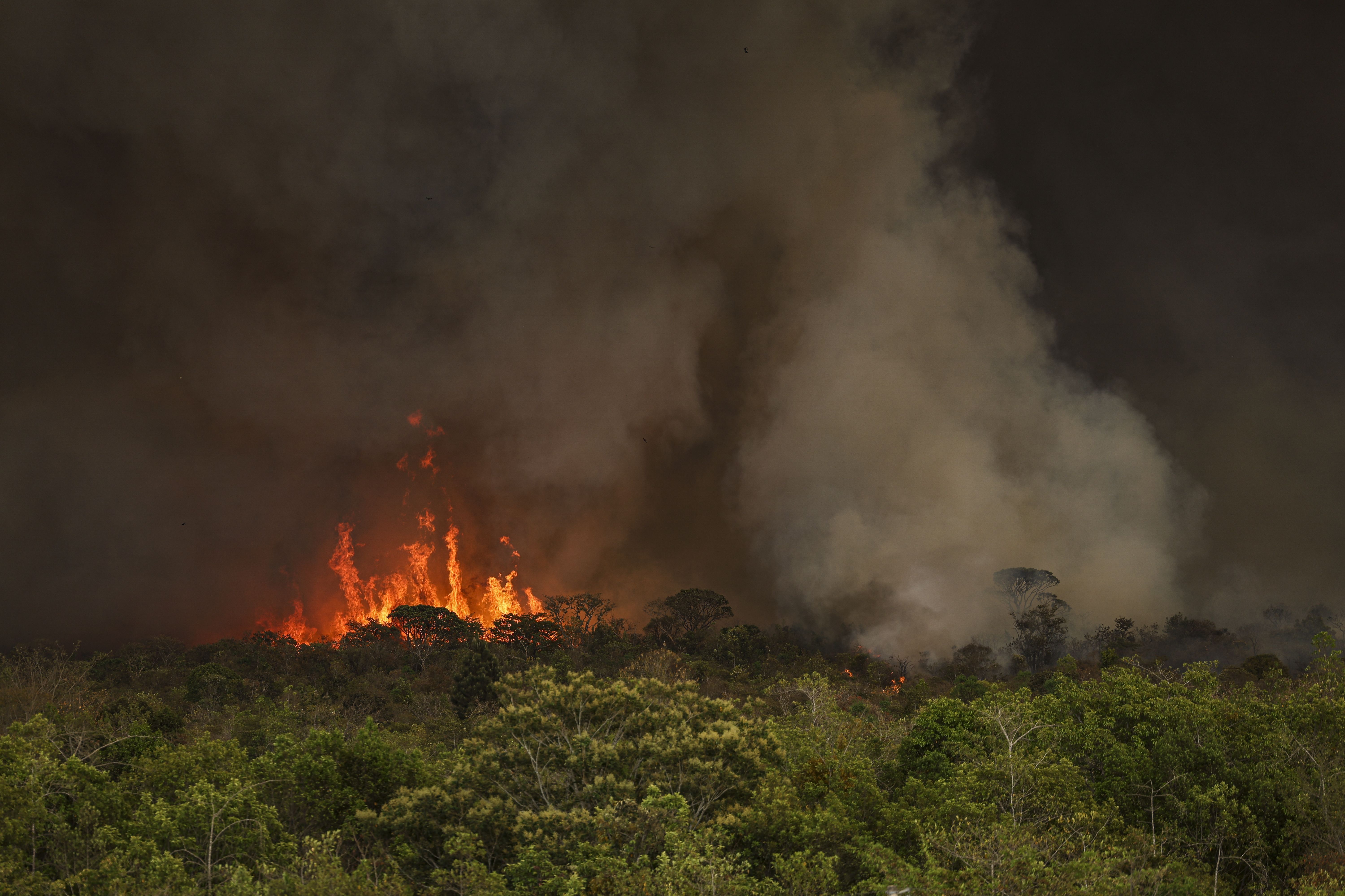 Escolas do DF suspendem aulas por causa da fumaça do incêndio no Parque Nacional de Brasília