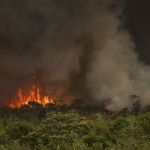 Escolas do DF suspendem aulas por causa da fumaça do incêndio no Parque Nacional de Brasília