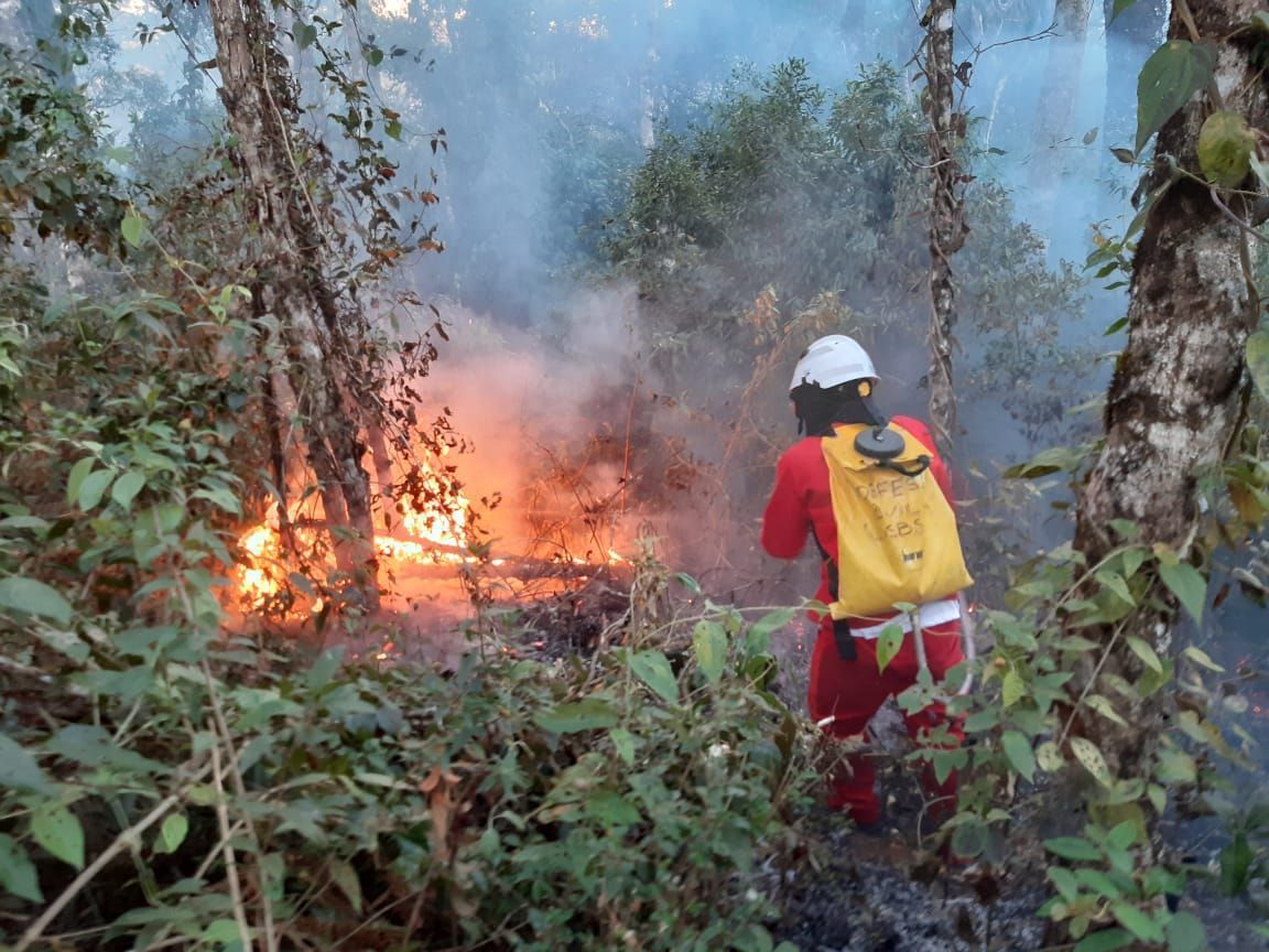 Sobe para 10 o número de presos suspeitos de envolvimento em incêndios no interior de SP