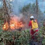 Sobe para 10 o número de presos suspeitos de envolvimento em incêndios no interior de SP