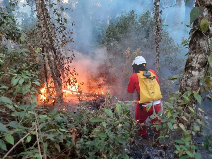 Duas pessoas foram presas suspeitas de provocarem incêndios em matas na região de Batatais e Ribeirão Preto