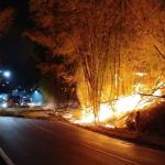 Incêndio em bambuzal interdita temporariamente estrada União Indústria (JF)