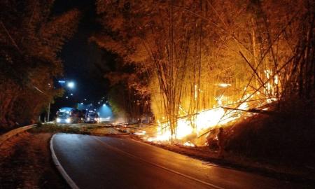 Incêndio União Industria