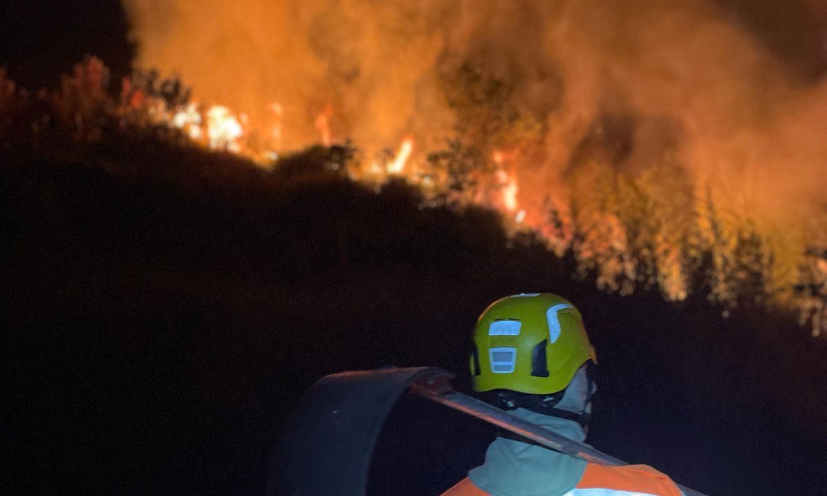 Incêndio em vegetação ameaça prédios em Juiz de Fora