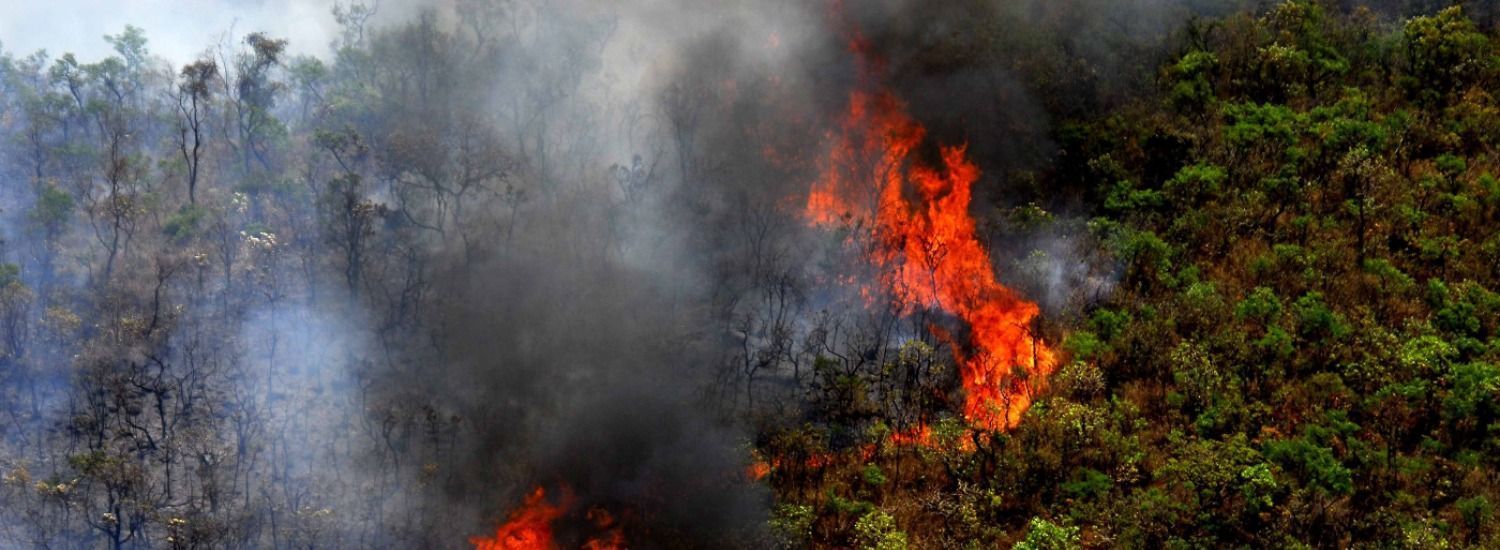 Minas Gerais em chamas: Estado registra explosão de queimadas
