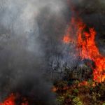 Minas Gerais em chamas: Estado registra explosão de queimadas