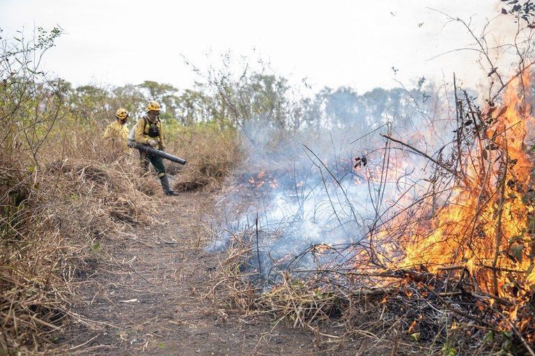 Decretos municipais de situação de emergência em decorrência de incêndios aumentam quase 200%