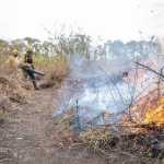 Decretos municipais de situação de emergência em decorrência de incêndios aumentam quase 200%