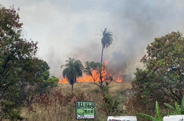 Vídeo: incêndio de grandes proporções atinge área e ameaça casas na Pampulha, em BH