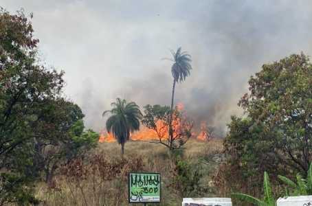 Uma perícia vai apontar as causas. Não está descarta a possibilidade de incêndio criminoso. Ao todo, 53 coletivos foram atingidos.