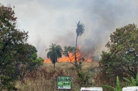 Uma perícia vai apontar as causas. Não está descarta a possibilidade de incêndio criminoso. Ao todo, 53 coletivos foram atingidos.