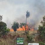 Vídeo: incêndio de grandes proporções atinge área e ameaça casas na Pampulha, em BH