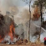 Tempo seco e incêndios ameaçam áreas rurais e florestais no estado