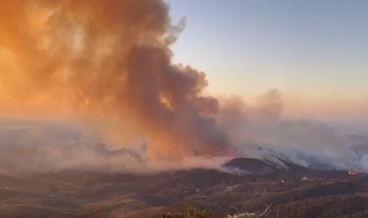 Incêndios em nove áreas de diferentes parques mobilizam bombeiros de Minas