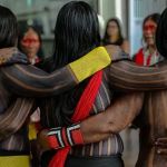 Jardim Botânico da UFJF inaugura exposições e promove oficinas gratuitas