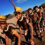 Valdir Barbosa | STF pode determinar que indígenas permaneçam com terras