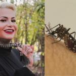 Influencer morre de dengue: veja sinais de alerta e quando procurar atendimento