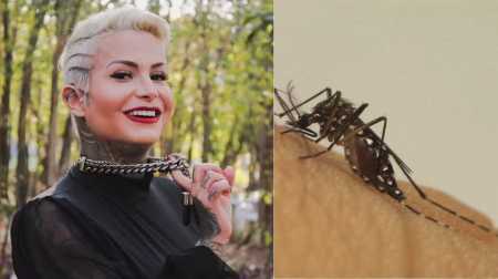 Foto mostra influencer vítima da dengue no Paraná e o mosquito Aedes aegypti