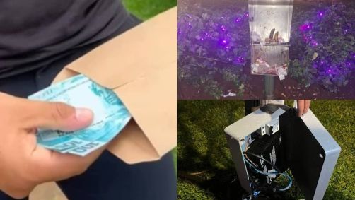 Influenciador escondeu envelopes de dinheiro na Praça da Liberdade, em BH, nessa sexta-feira (1)