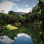 Bernardo Paz, idealizador do Inhotim, projeta novo museu em Brumadinho? entenda