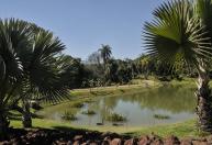 Inhotim além das galerias: um espaço de arte e natureza