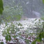 Chuva de até 100mm e granizo podem atingir 390 cidades do Paraná; veja quais