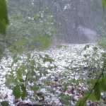 Chuva de até 100mm e granizo podem atingir 390 cidades do Paraná; veja quais