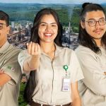 Oportunidade: Inscrições abertas para estágio na Cenibra em 2024 