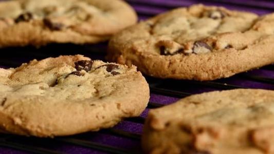Inseto estava no biscoito cookie de chocolate