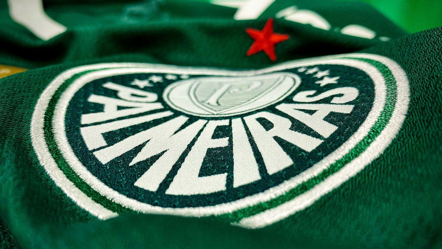 Palmeiras tem faturamento recorde em 2024 e superávit de quase R$ 200 milhões