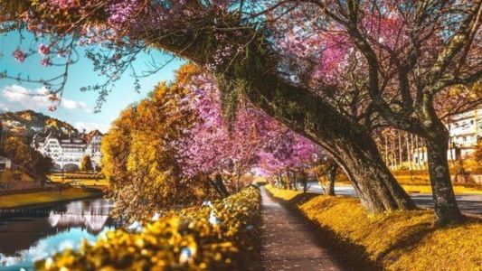 Inverno no Brasil destinos menos conhecidos para o Frio