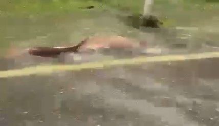 Coloquei na coluna passada deste site uma reflexão sobre o estado de penúria do futebol no interior de Minas e pedi aos internautas que se manifestassem contra ou a favor...