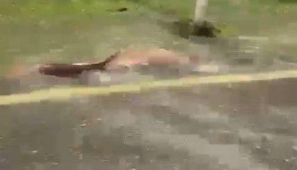 Coloquei na coluna passada deste site uma reflexão sobre o estado de penúria do futebol no interior de Minas e pedi aos internautas que se manifestassem contra ou a favor...