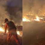 Irmãos são encontrados mortos carbonizados após tentar combater incêndio em MG